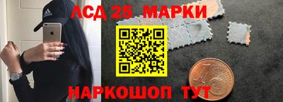 СК Гатчина
