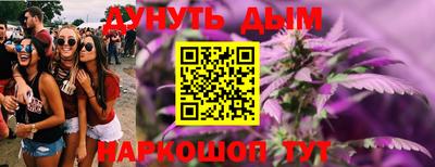 СК Гатчина