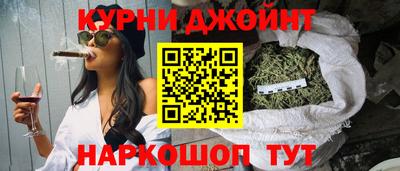 СК Гатчина