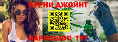 СК Гатчина