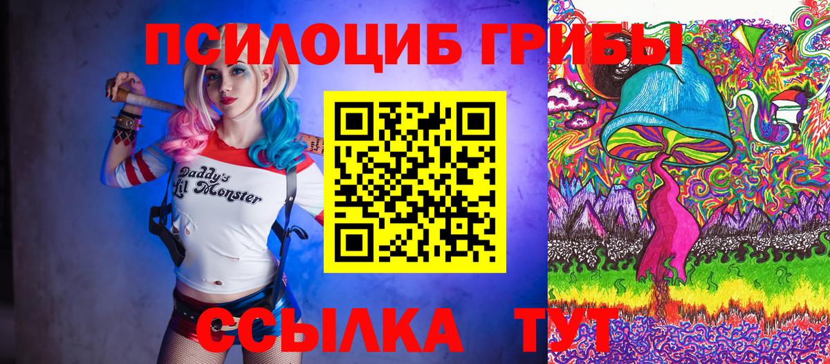 Гай  купить наркотики сайты  Вход с VPN  Галлюциногенные грибы мицелий  Галлюциногенные грибы GOLDEN TEACHER 